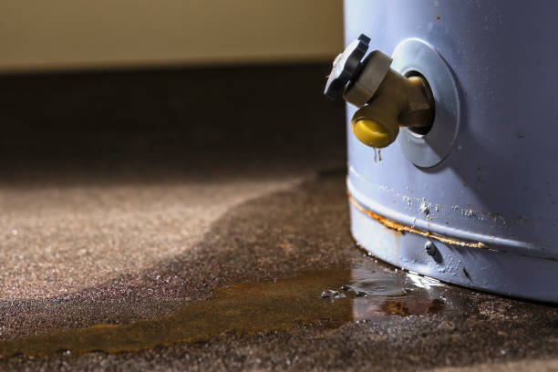 Best Water damage restoration near me  in Wyoming, MN