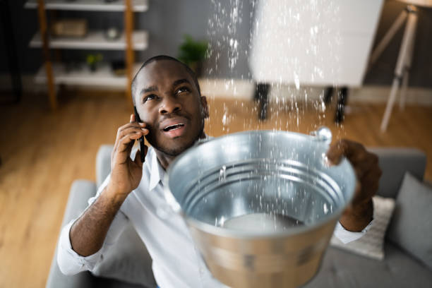 Best Flood damage cleanup  in Wyoming, MN
