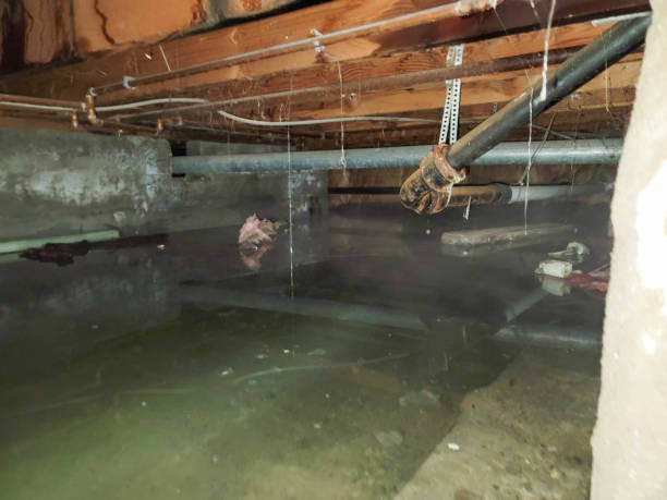 , MN Water damage restoration Company