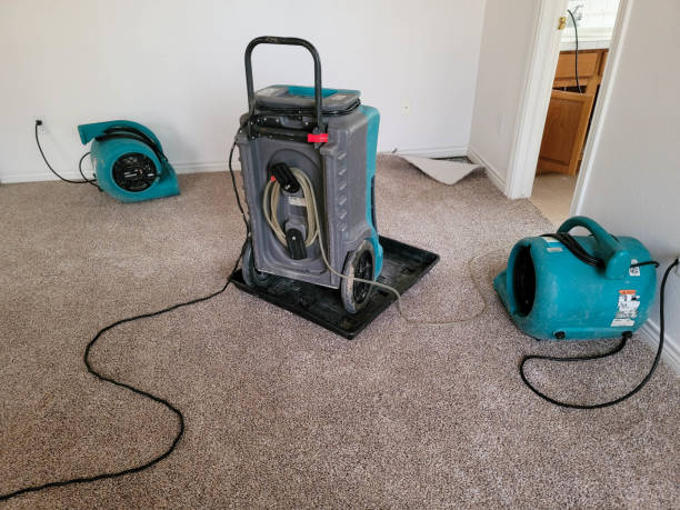 Best Fire Damage Restoration  in Wyoming, MN
