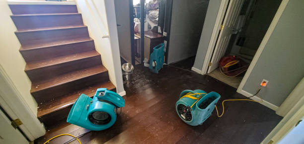 Best Carpet water damage restoration  in Wyoming, MN