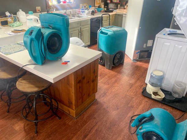 Carpet water damage restoration in MN