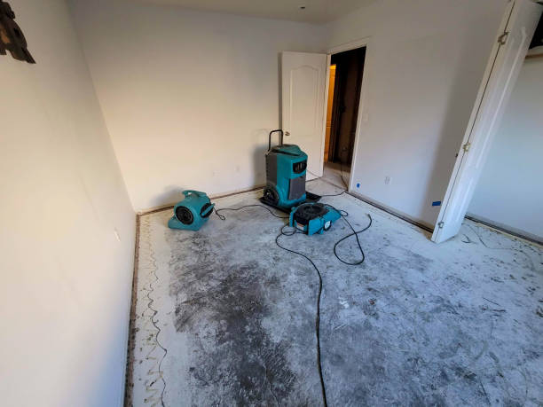 Best Emergency water damage restoration  in Wyoming, MN