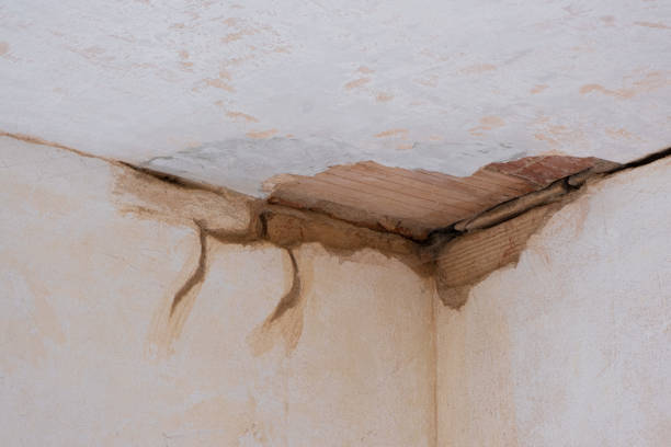 Best Flood restoration services  in Wyoming, MN