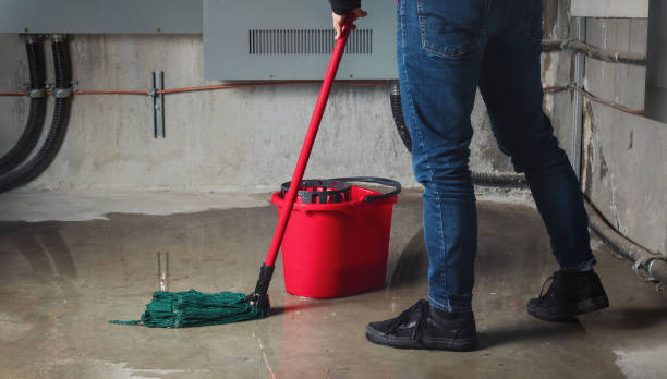 Best Water damage restoration process  in Wyoming, MN
