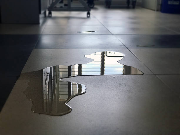 Best Carpet water damage restoration  in Wyoming, MN