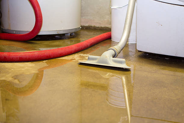 Best 24-hour water damage restoration  in Wyoming, MN