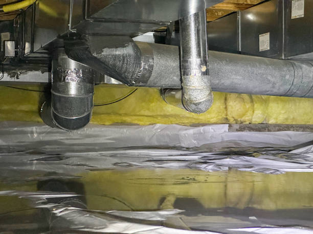 Best Professional water damage repair  in Wyoming, MN