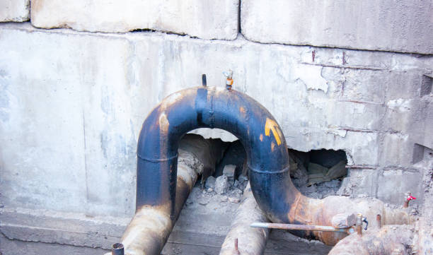 Best Local water damage restoration  in Wyoming, MN
