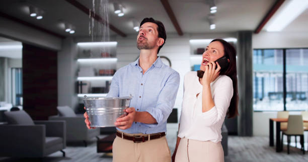 Best Basement water damage restoration  in Wyoming, MN