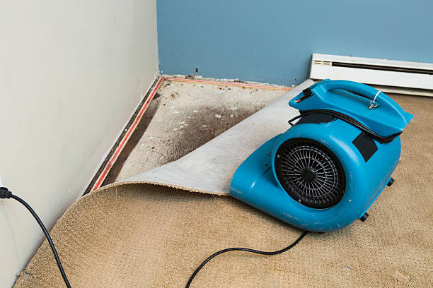 Best Water damage restoration insurance claims  in Wyoming, MN